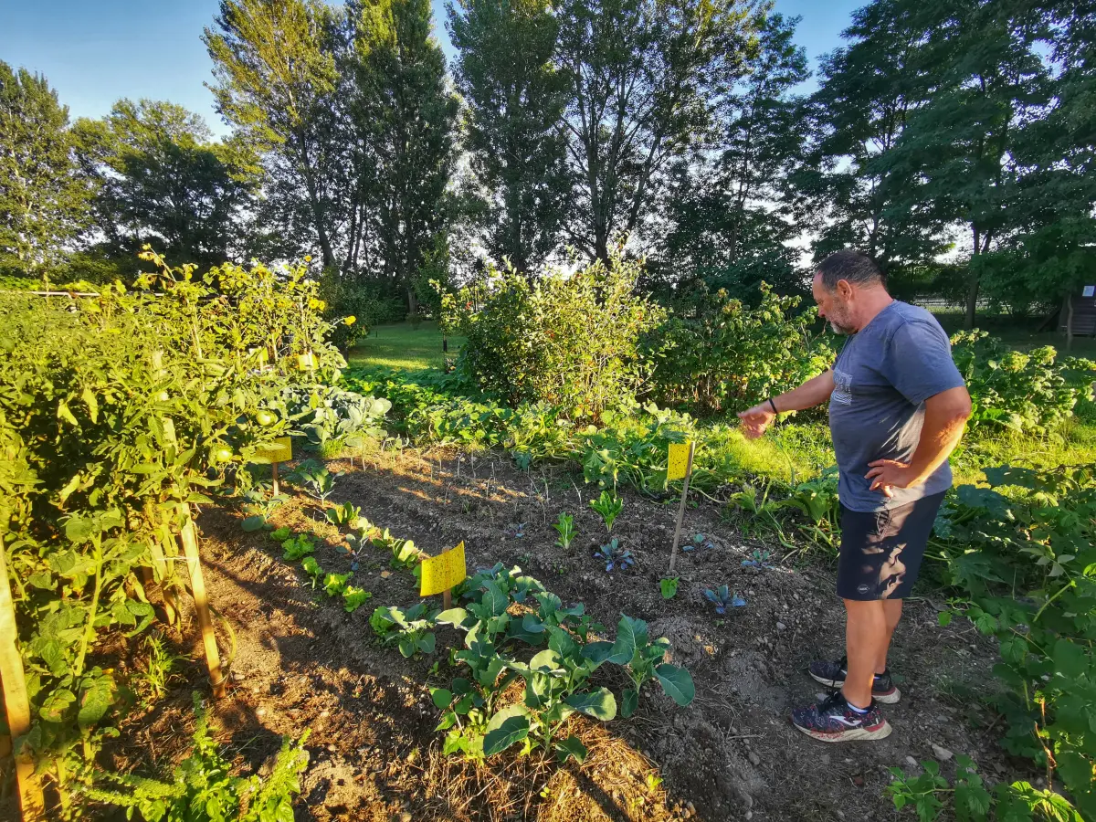 biskupecki vrtovi 2025 – goran stimec 08