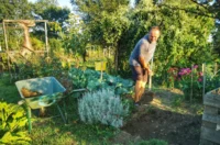 biskupecki vrtovi 2025 – goran stimec 12