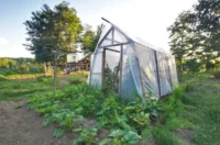 biskupecki vrtovi 2025 – goran stimec 14