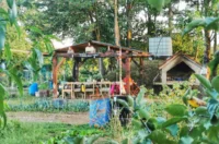 biskupecki vrtovi 2025 – goran stimec 18