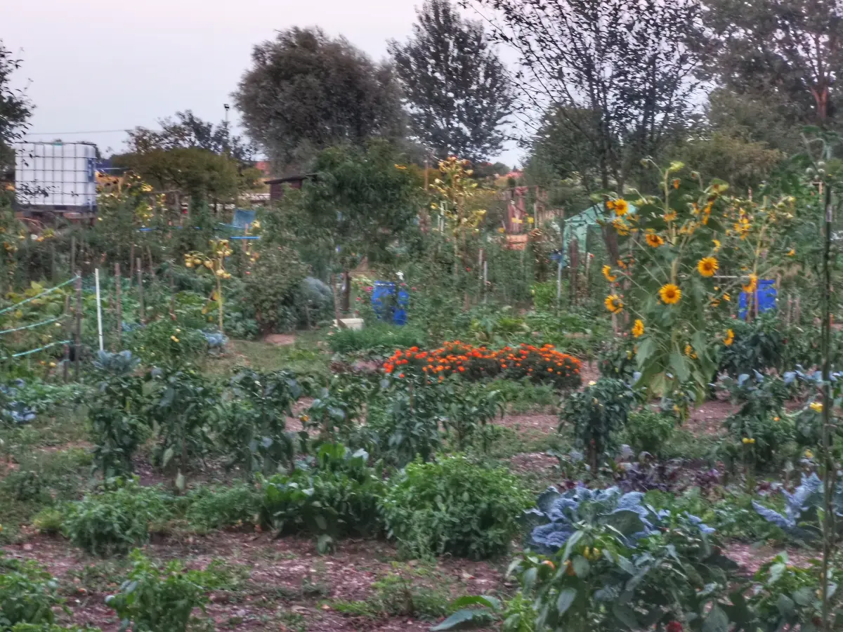 biskupecki vrtovi 2025 – goran stimec 21