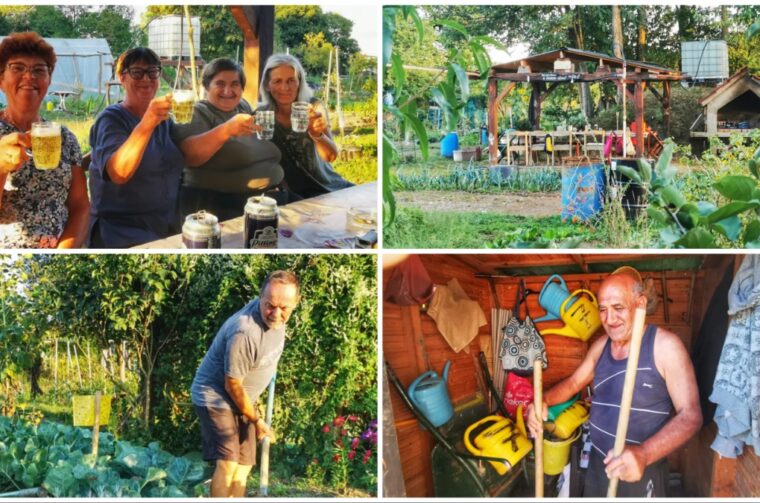 _biskupecki vrtovi _biskupecki vrtovi