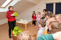 bojanka_slikovnica_vz_zelje_bukovec_2025 (11)