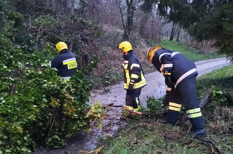 breznica-dvd bisag (1) breznica-dvd bisag (1)