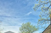 breznica-uskrsni ponedjeljak (6)