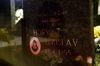 breznicki hum – dan sjecanja (8)