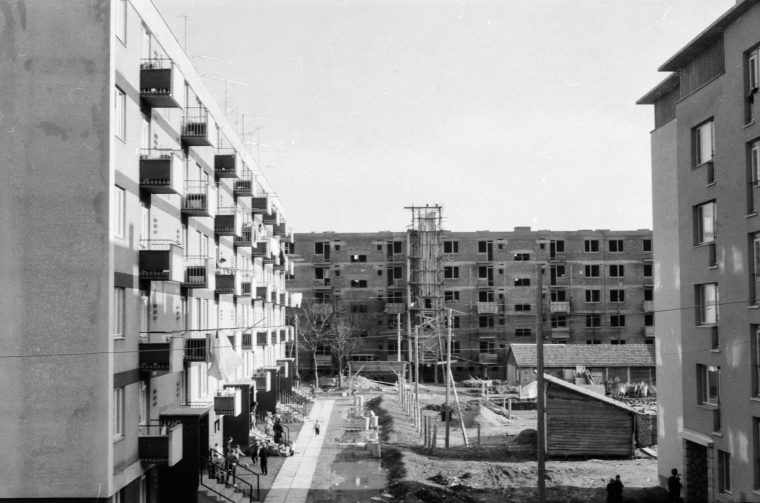 brezovec đurek 19 i 21