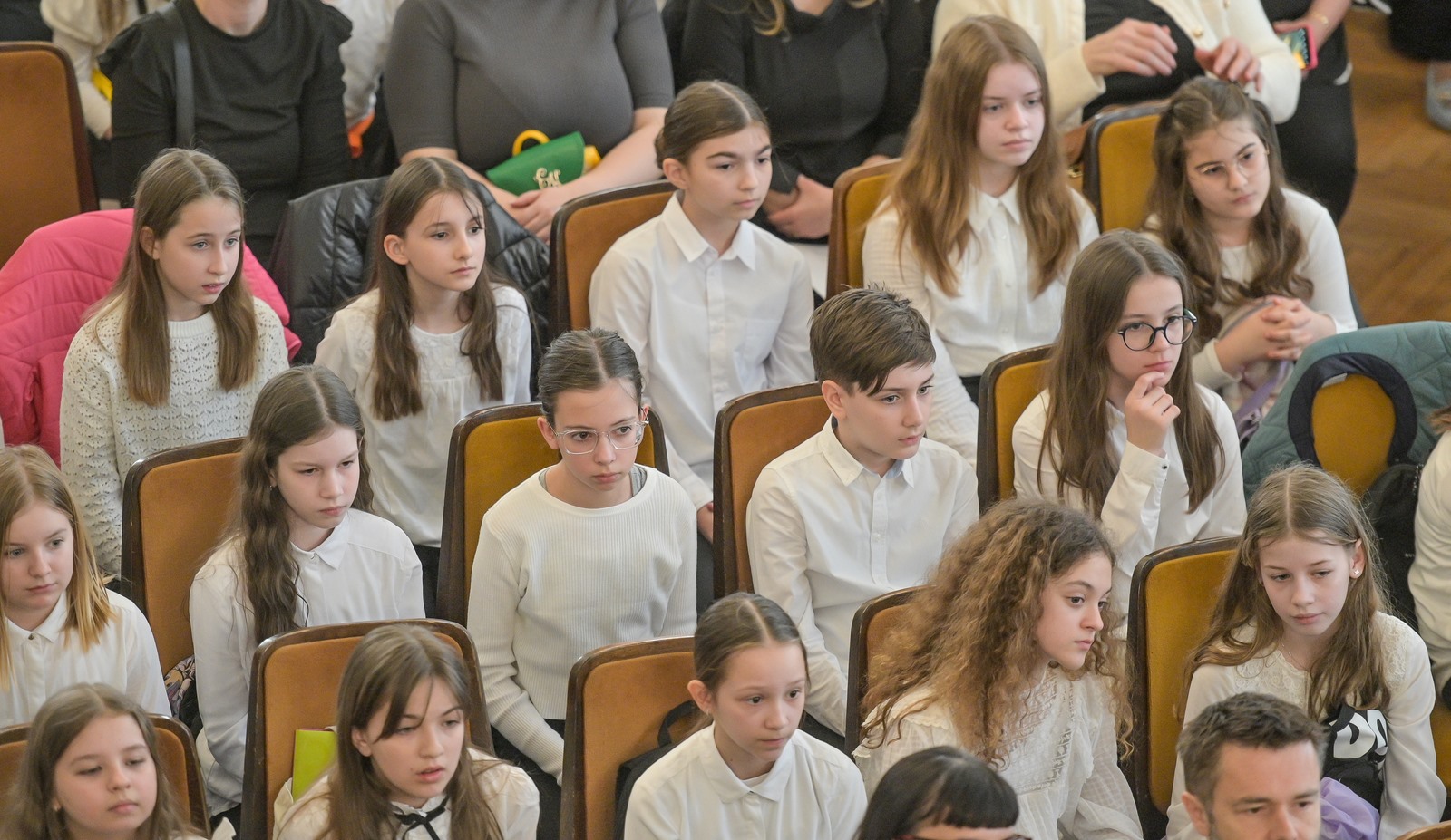 Image 6001381 (auto)