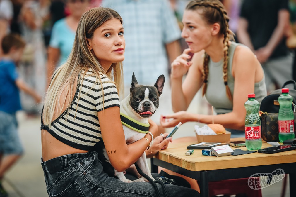 Image 5811847 (auto)