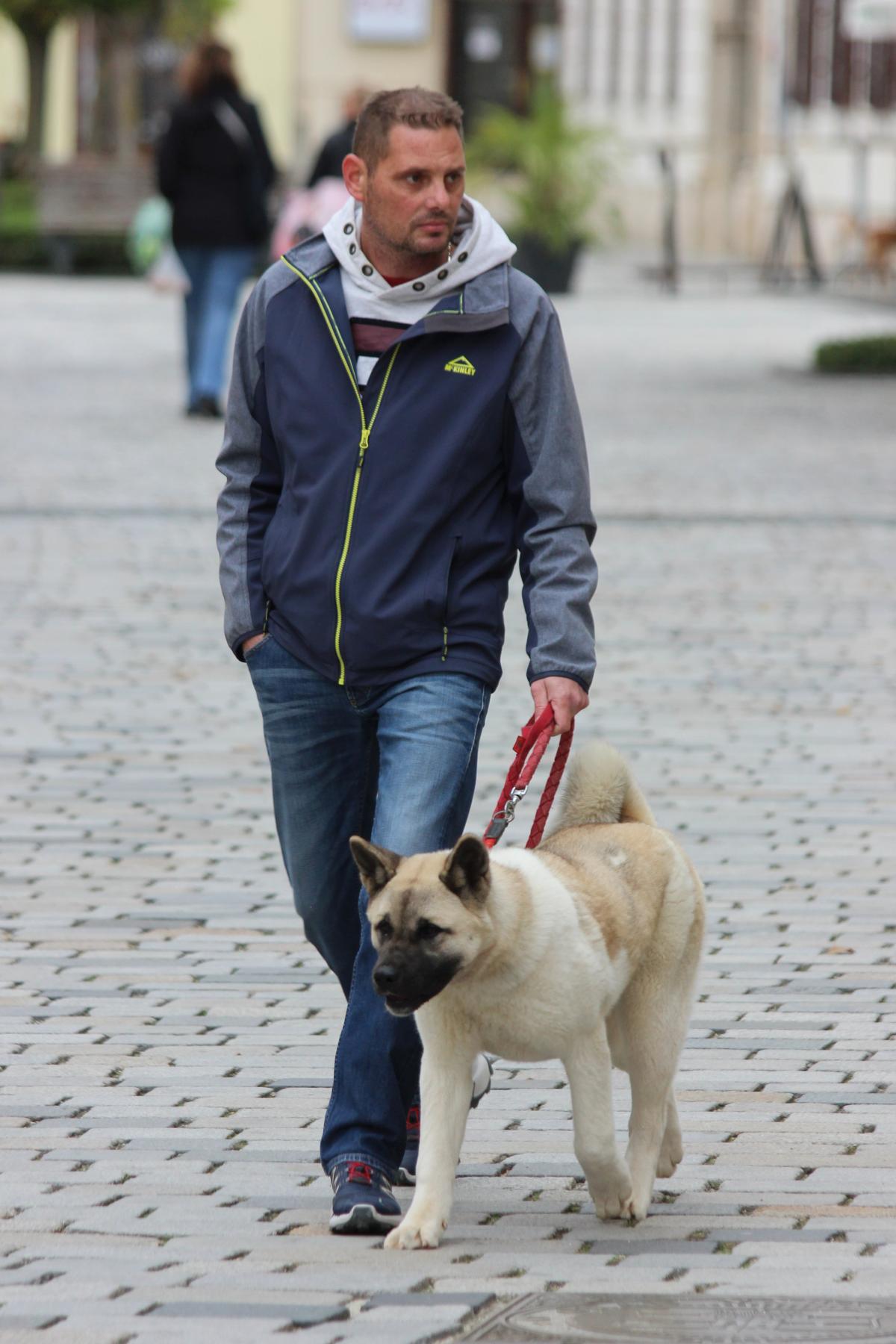 Image 5516030 (auto)