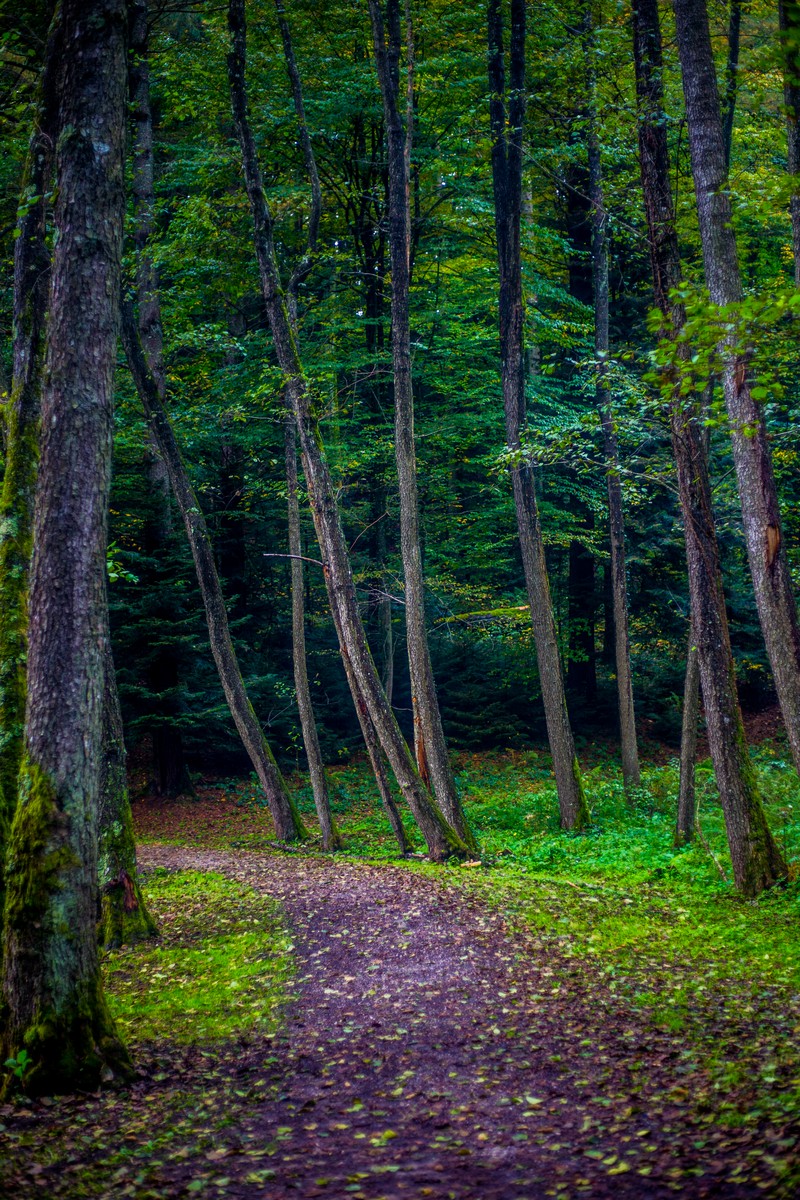 Jesen u Trakošćanu
