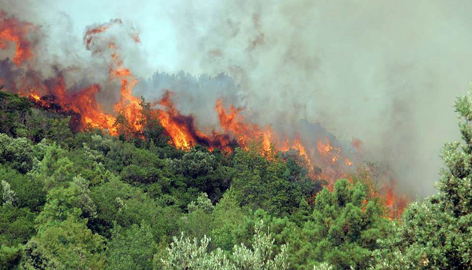 peljesacvatrogasci11397486