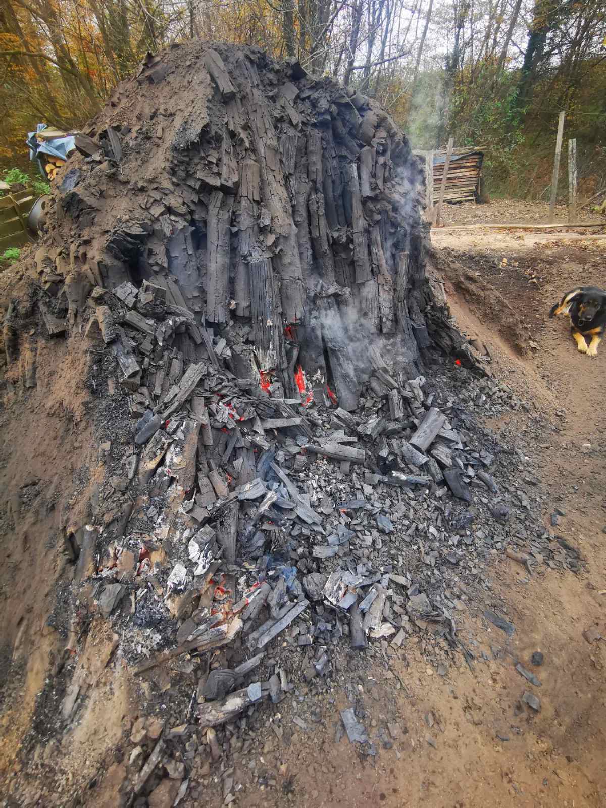 vuglenica u Gačicama