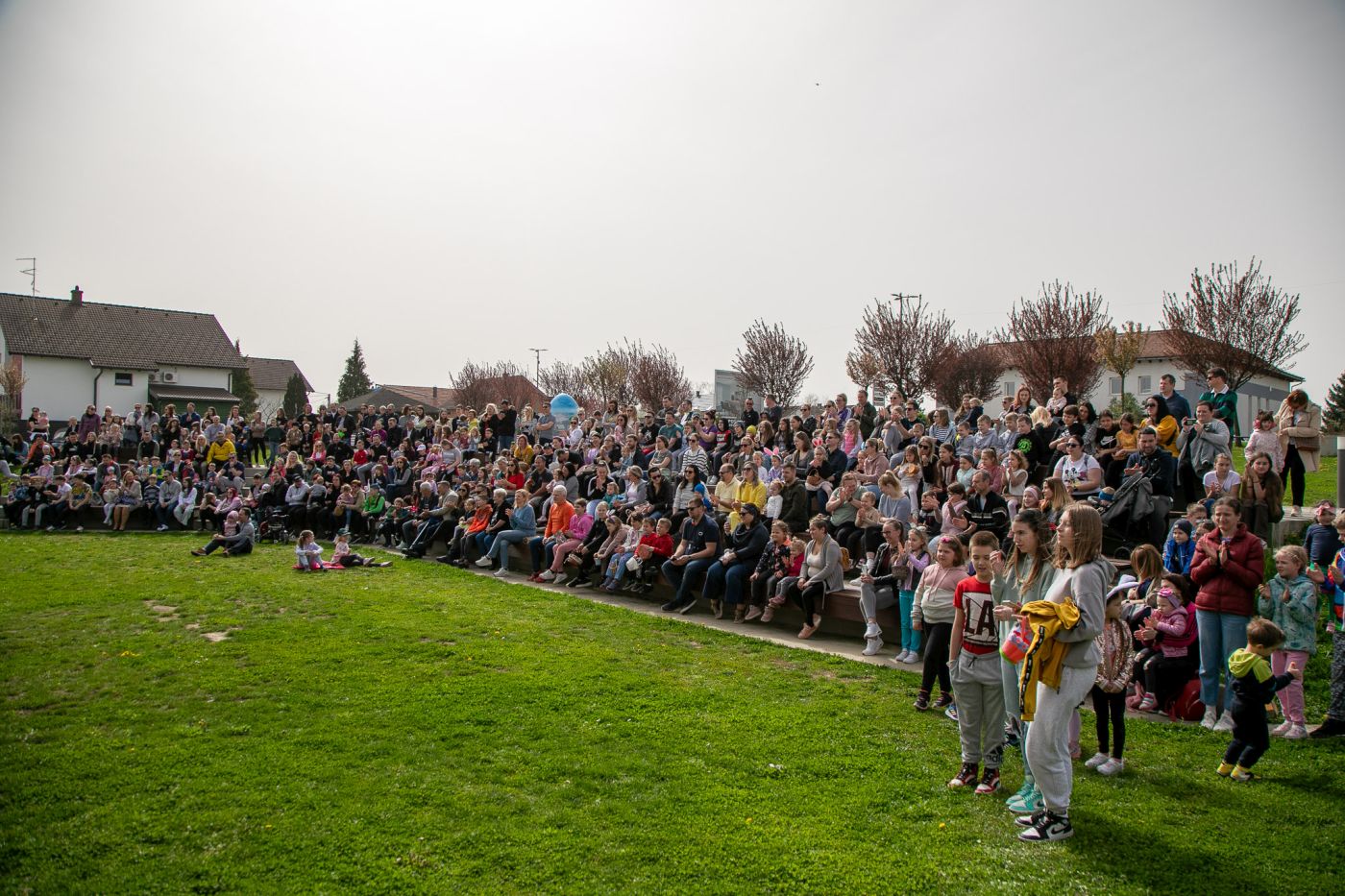 Image 6005823 (auto)