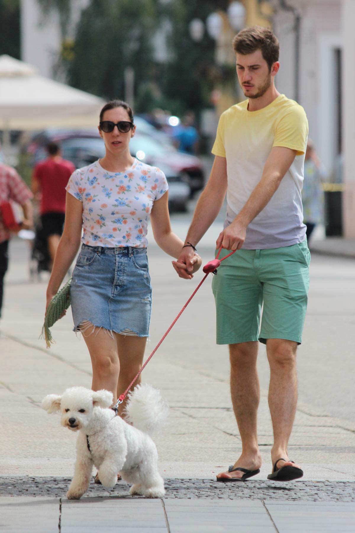 Image 5457682 (auto)