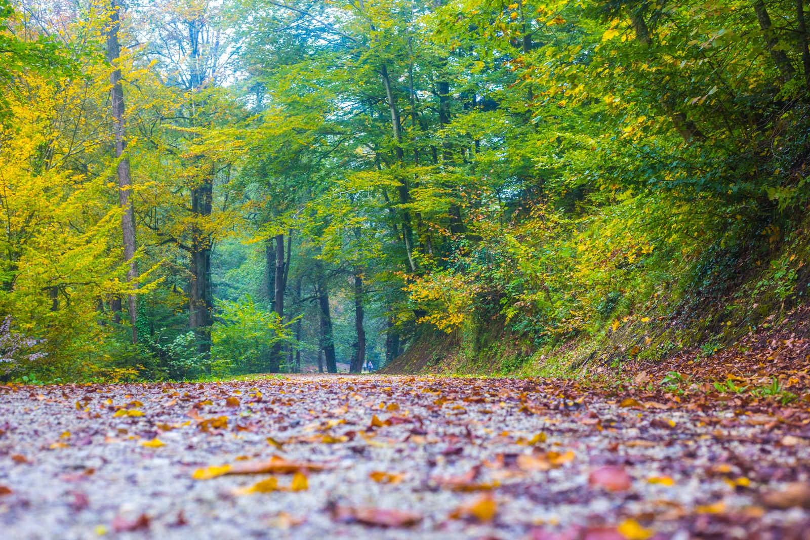 Jesen u Trakošćanu