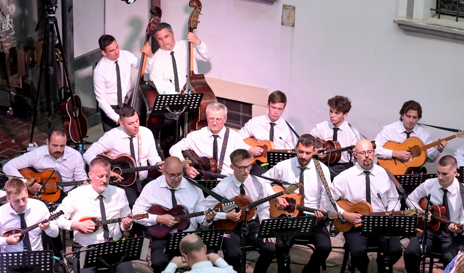 Image 5772171 (auto)