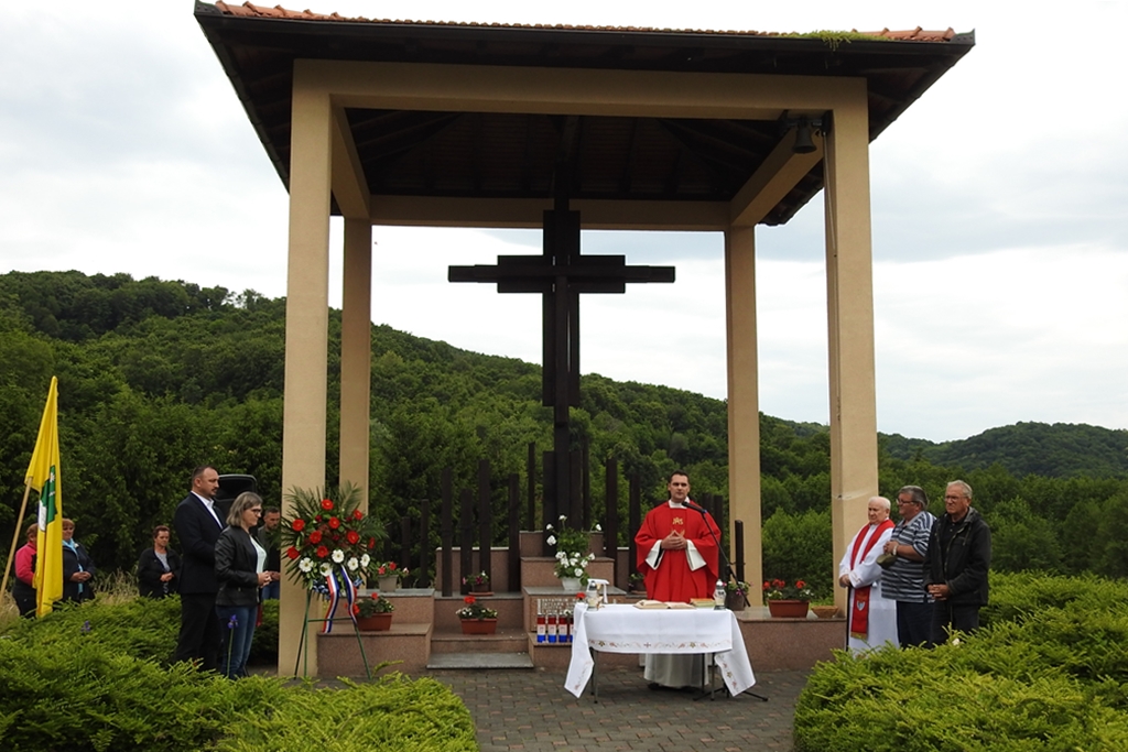 Image 4499608 (auto)