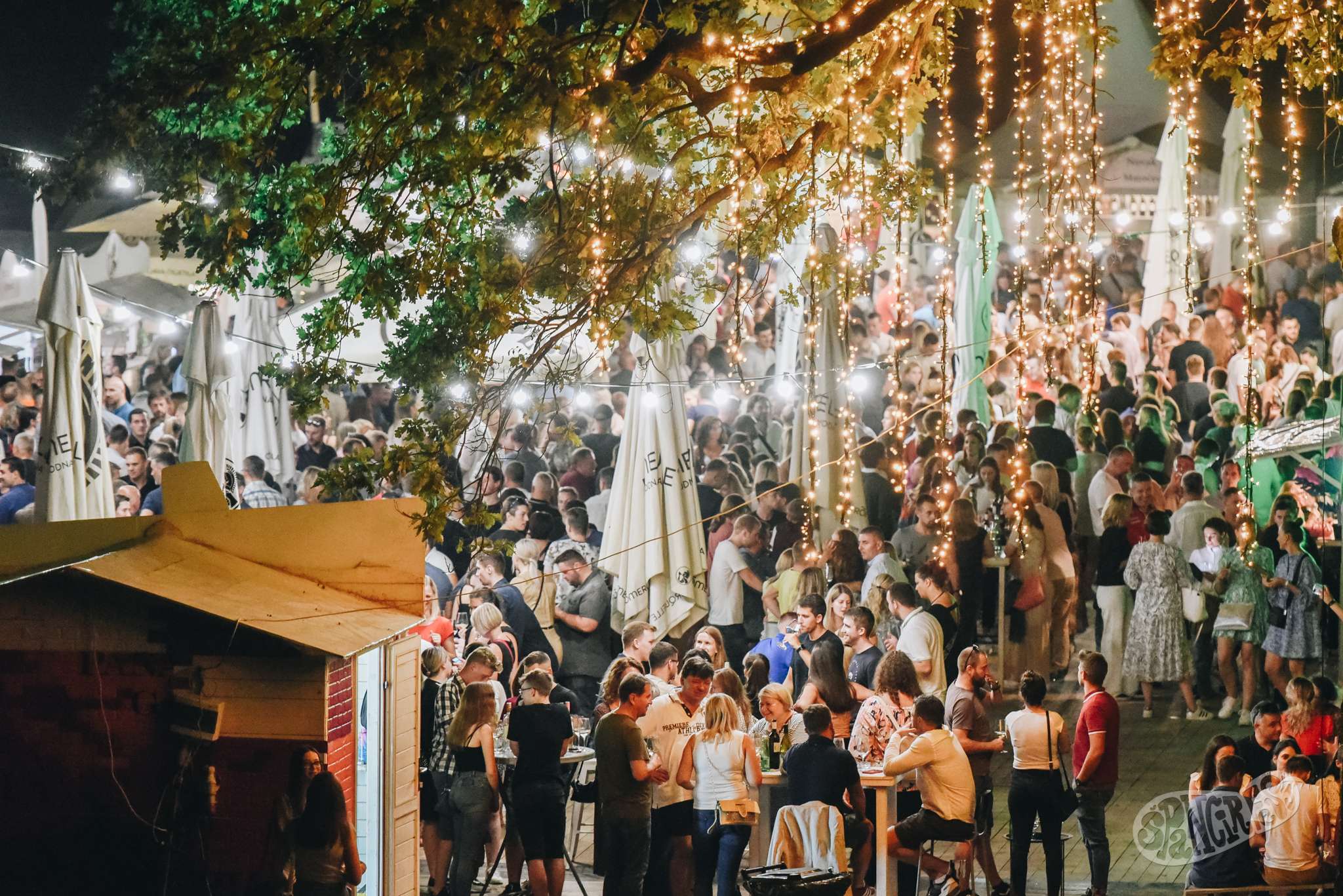 Image 5460126 (auto)