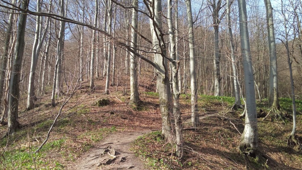 20150411090654970423