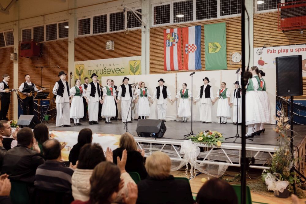 Image 5911811 (auto)