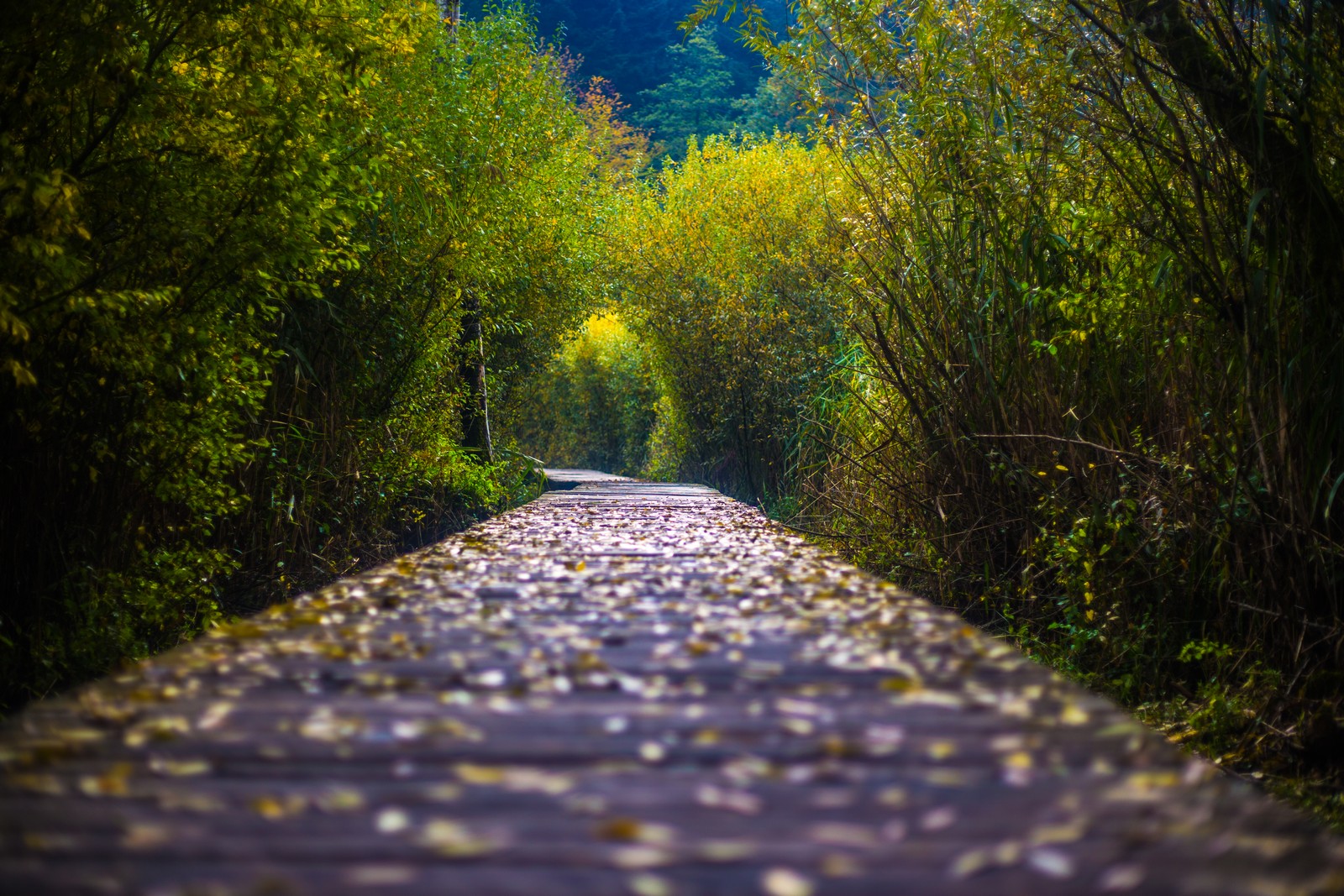 Jesen u Trakošćanu