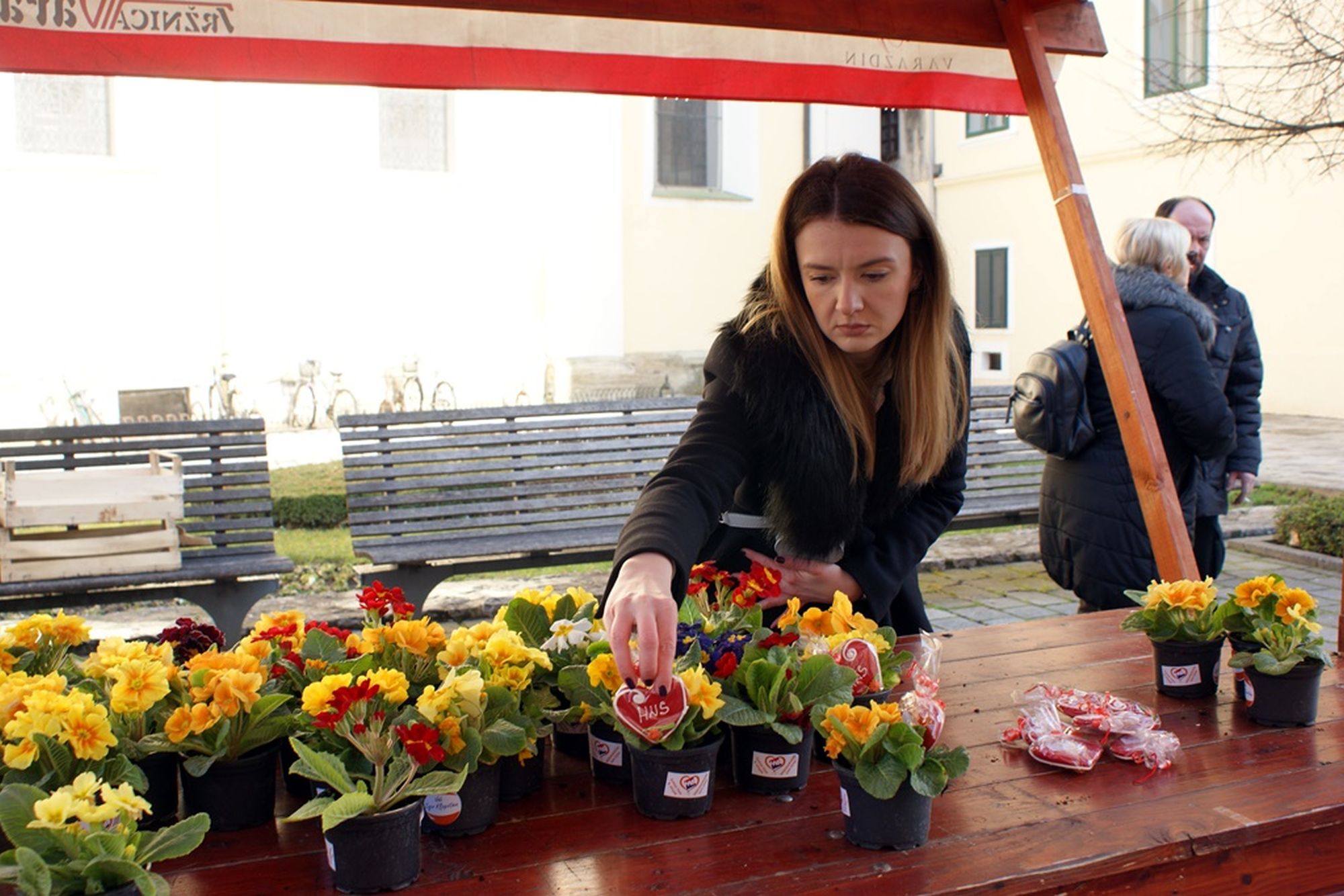 Image 5621905 (auto)