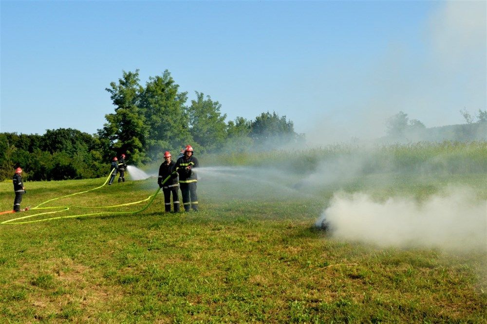 Image 3785829 (auto)