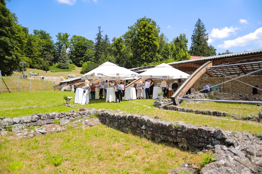 Image 5717937 (auto)