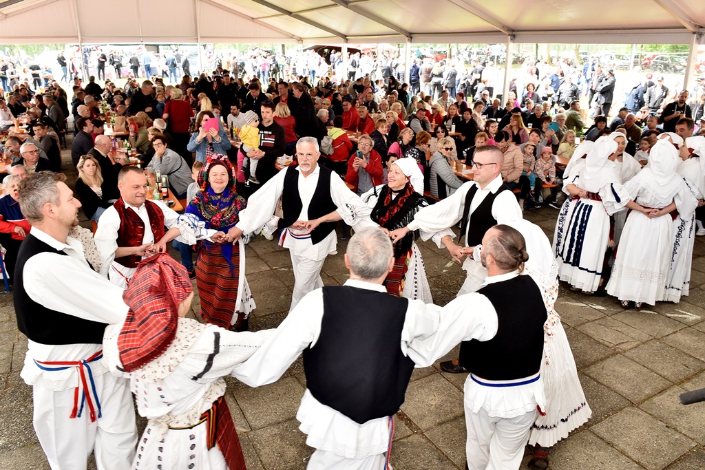 Image 5678255 (auto)