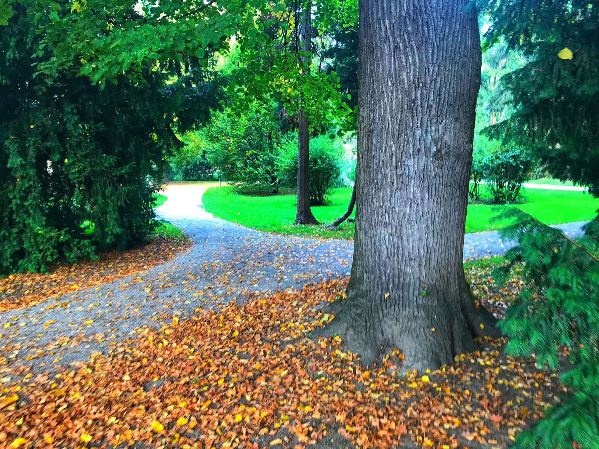 Jesen u varaždinskom parku
