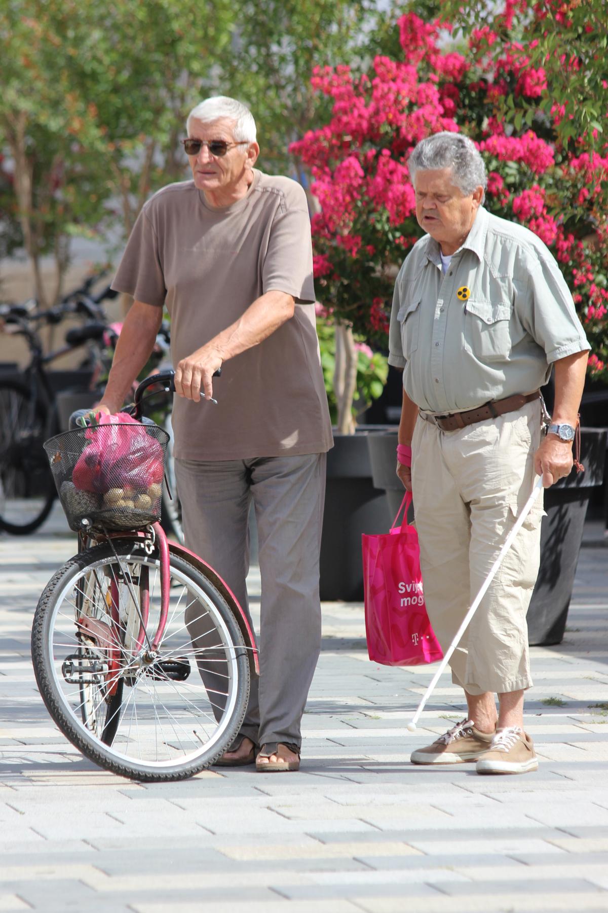 Image 5417974 (auto)