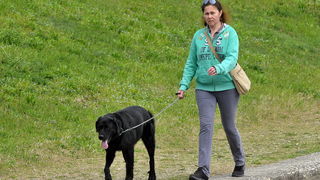 Klikom po Dravi Klikom po Dravi