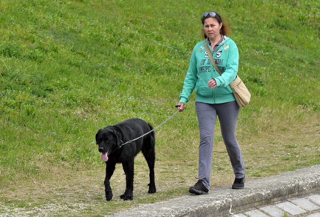 Klikom po Dravi Klikom po Dravi