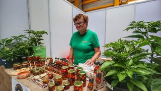 20180615113351img467401250034