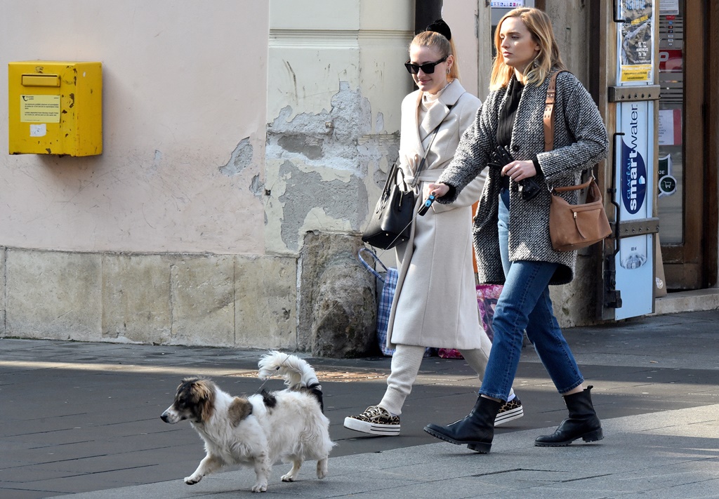 Image 4824932 (auto)