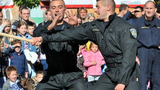 Policijska vježba, Dan policije