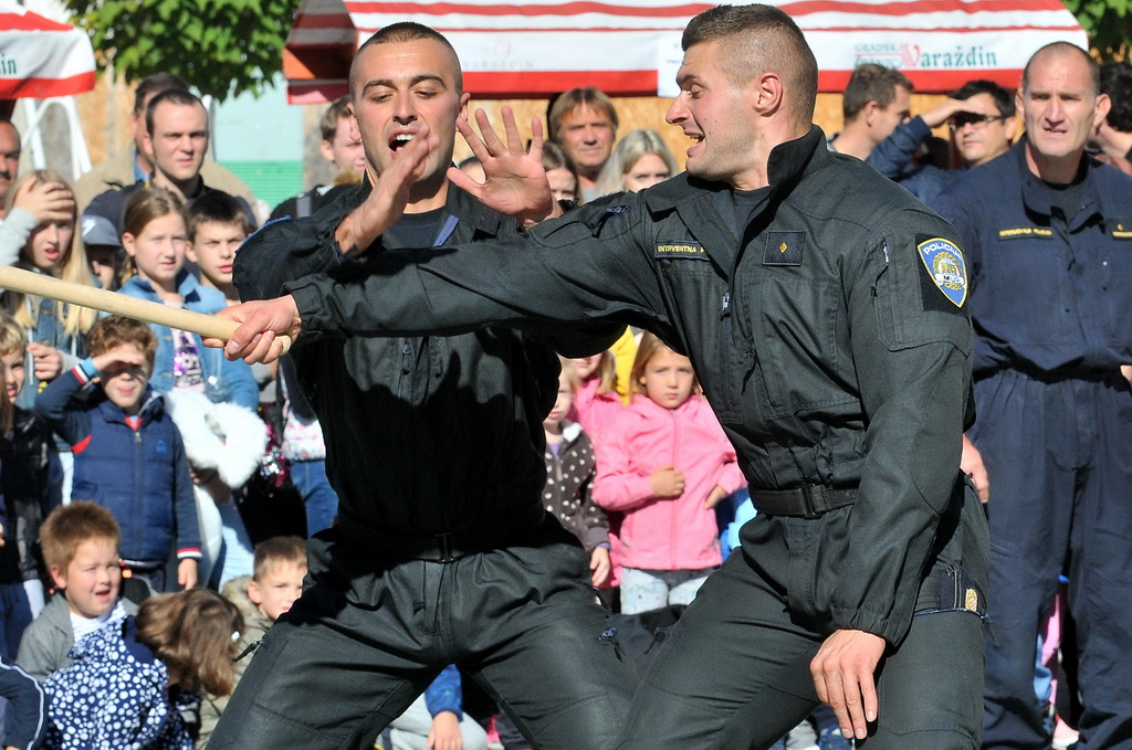 Policijska vježba, Dan policije