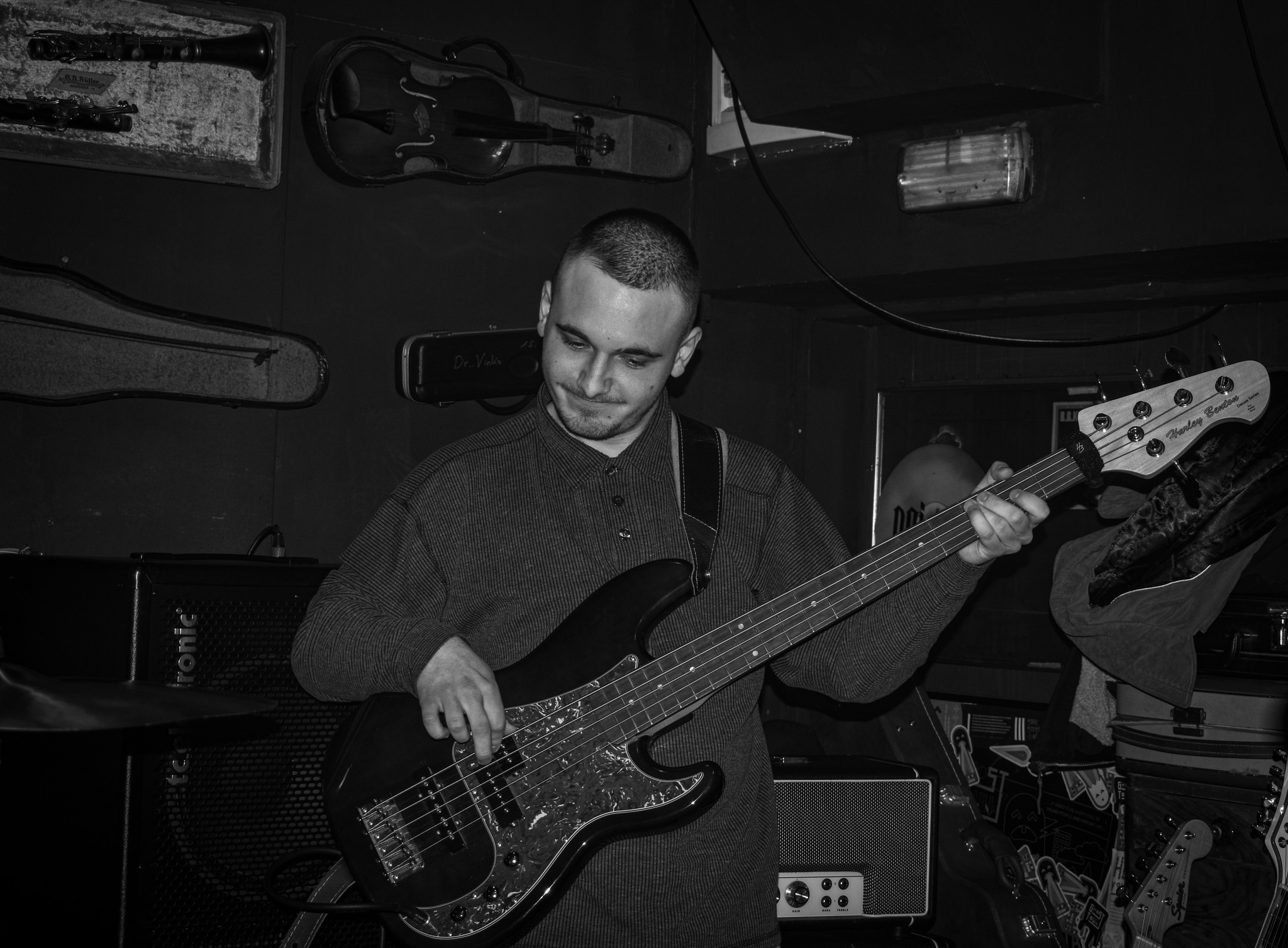 Dodger Artfool The Vipers