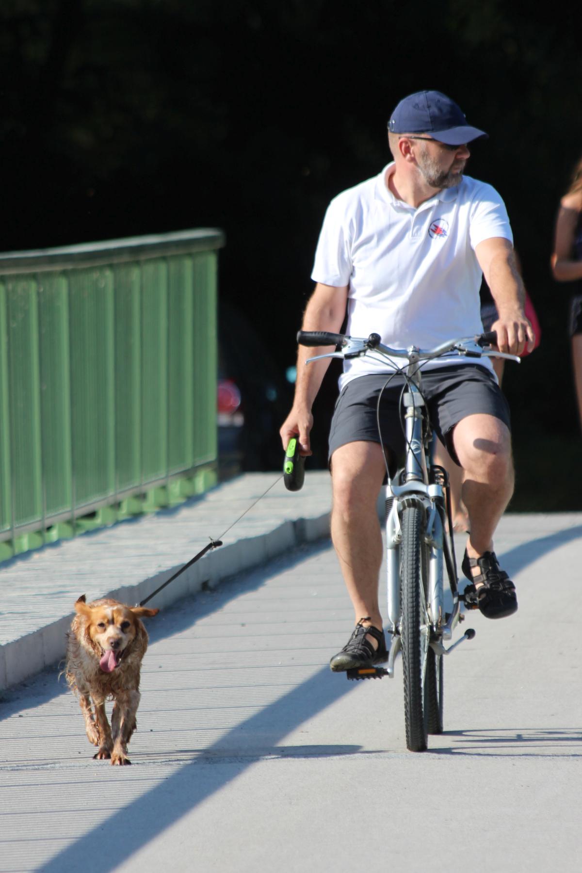 Image 5422990 (auto)