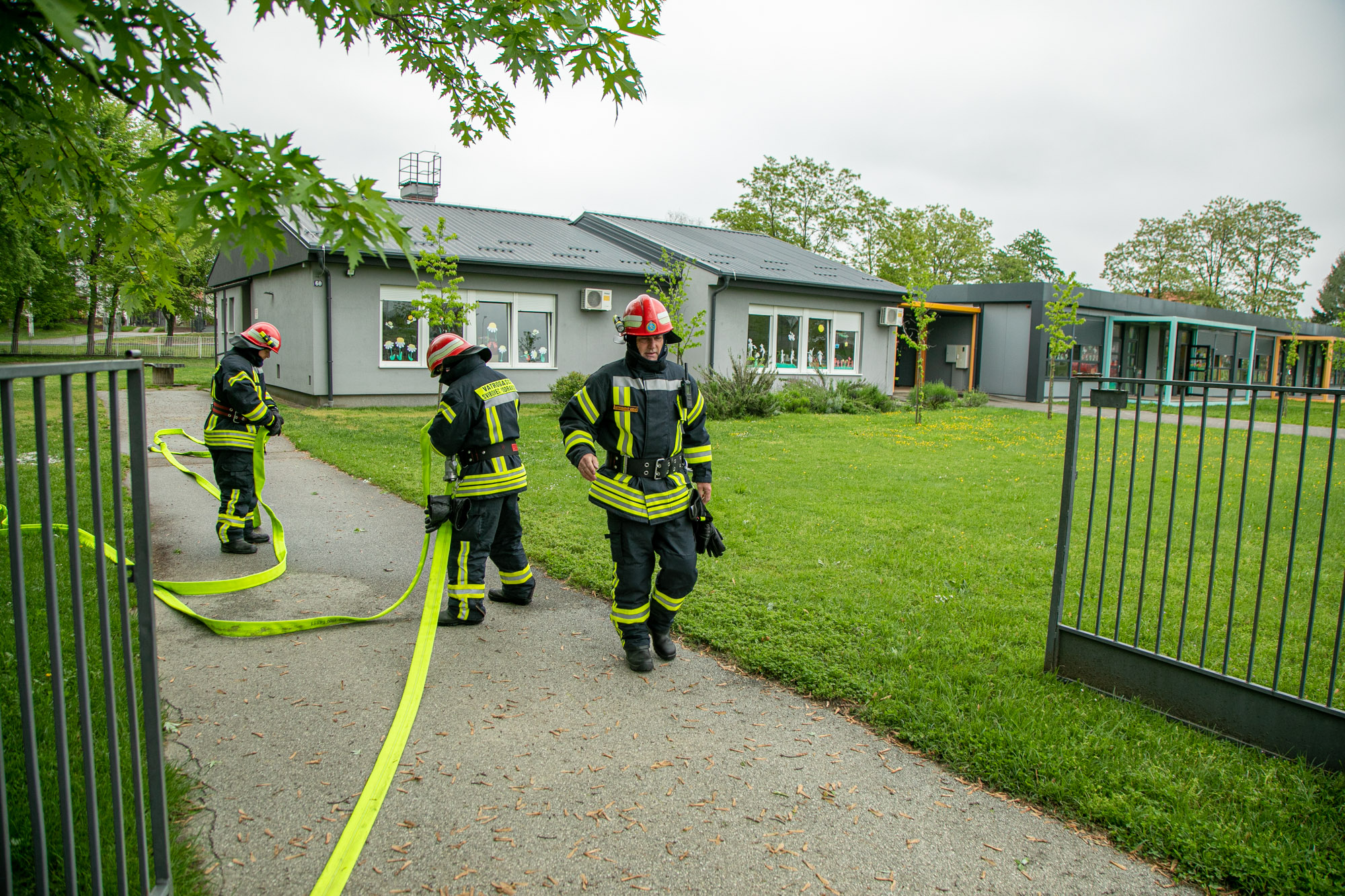 Image 5699407 (auto)