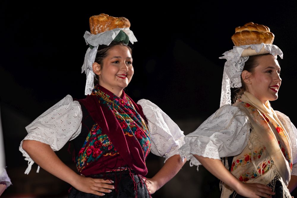 Image 5834305 (auto)