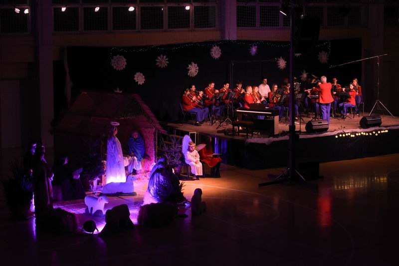 Image 5555783 (auto)