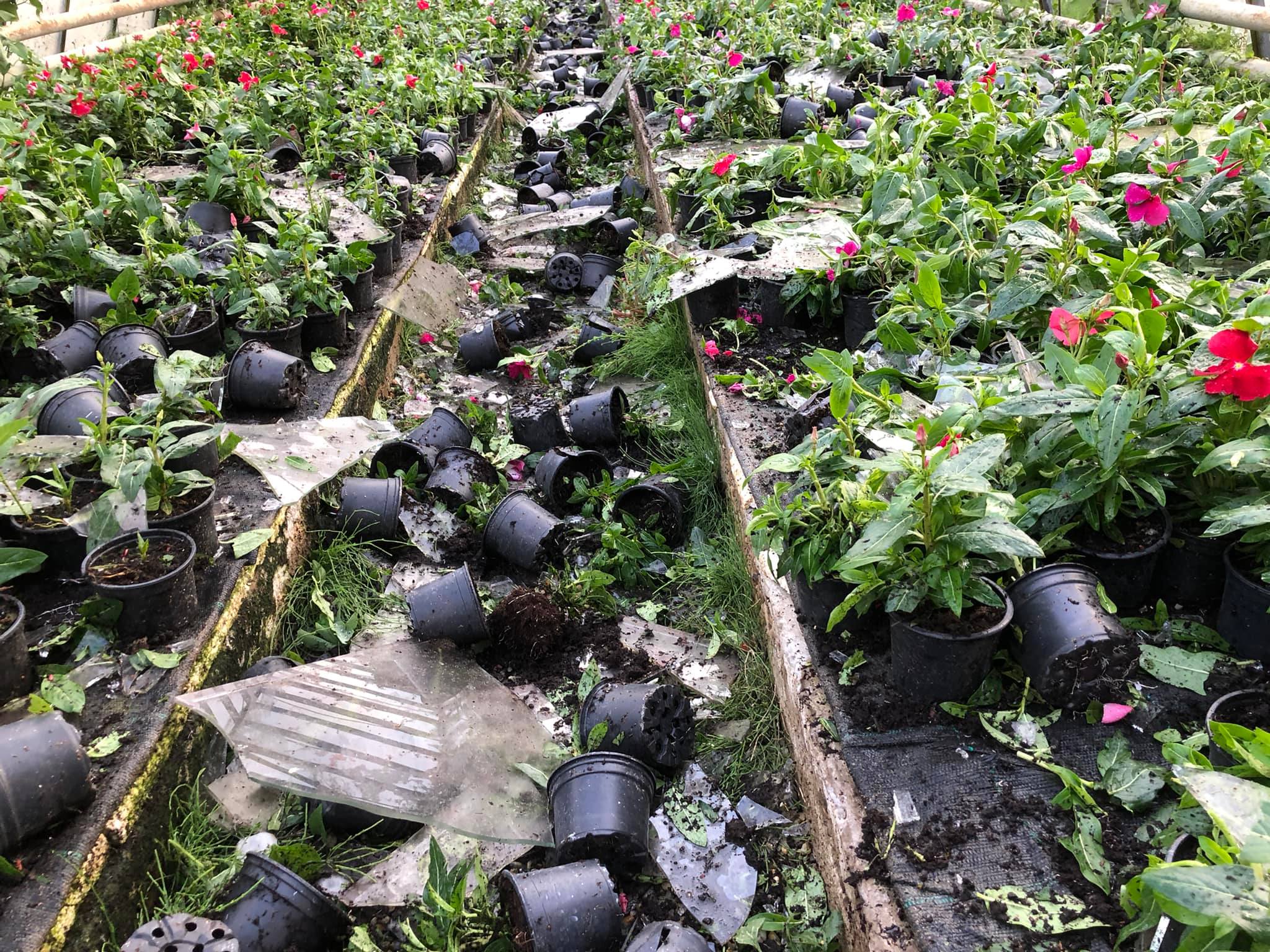 Tuča Veliki Bukovec