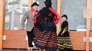 Image 5419028 (auto)