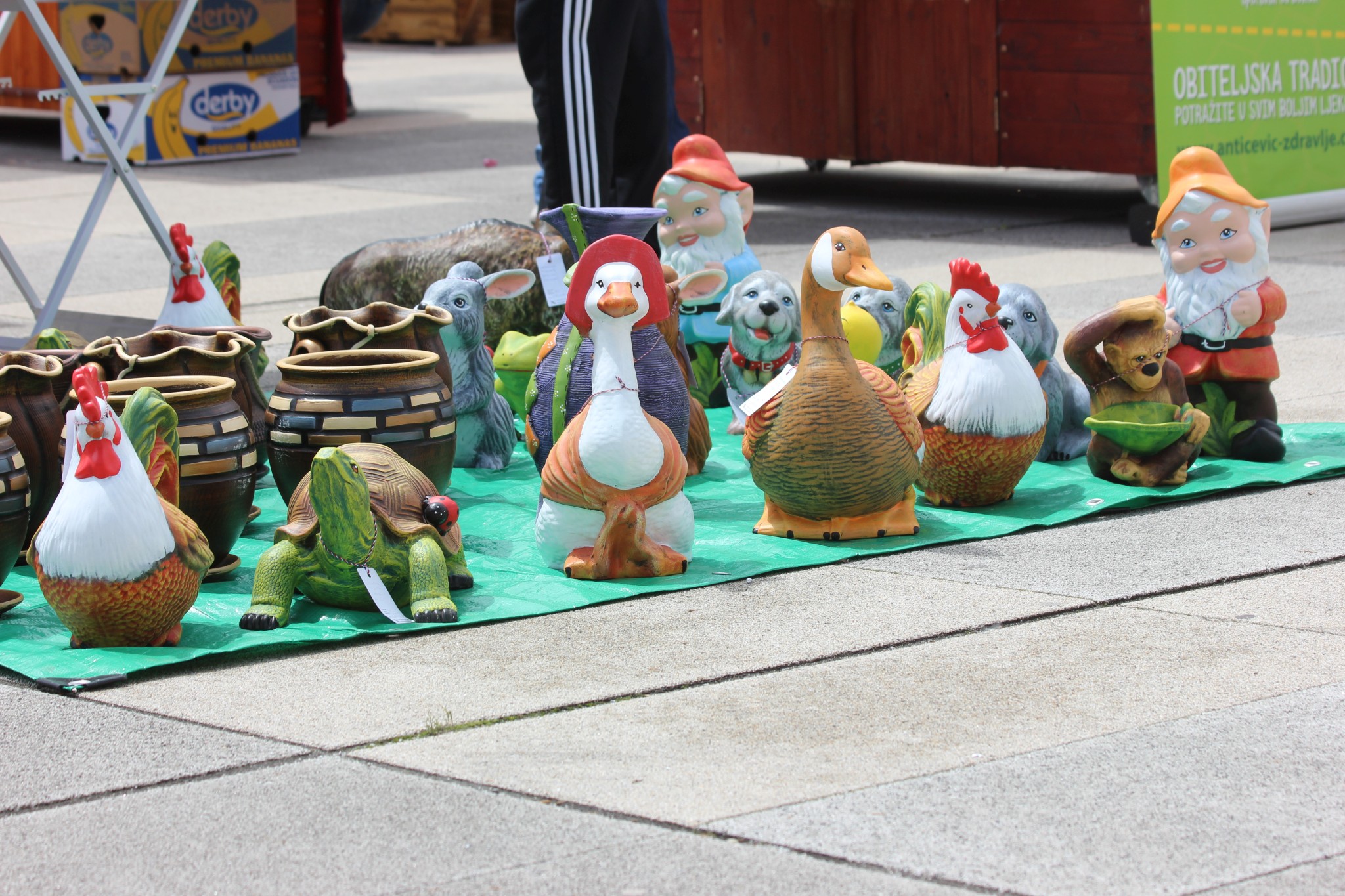 Image 3646151 (auto)