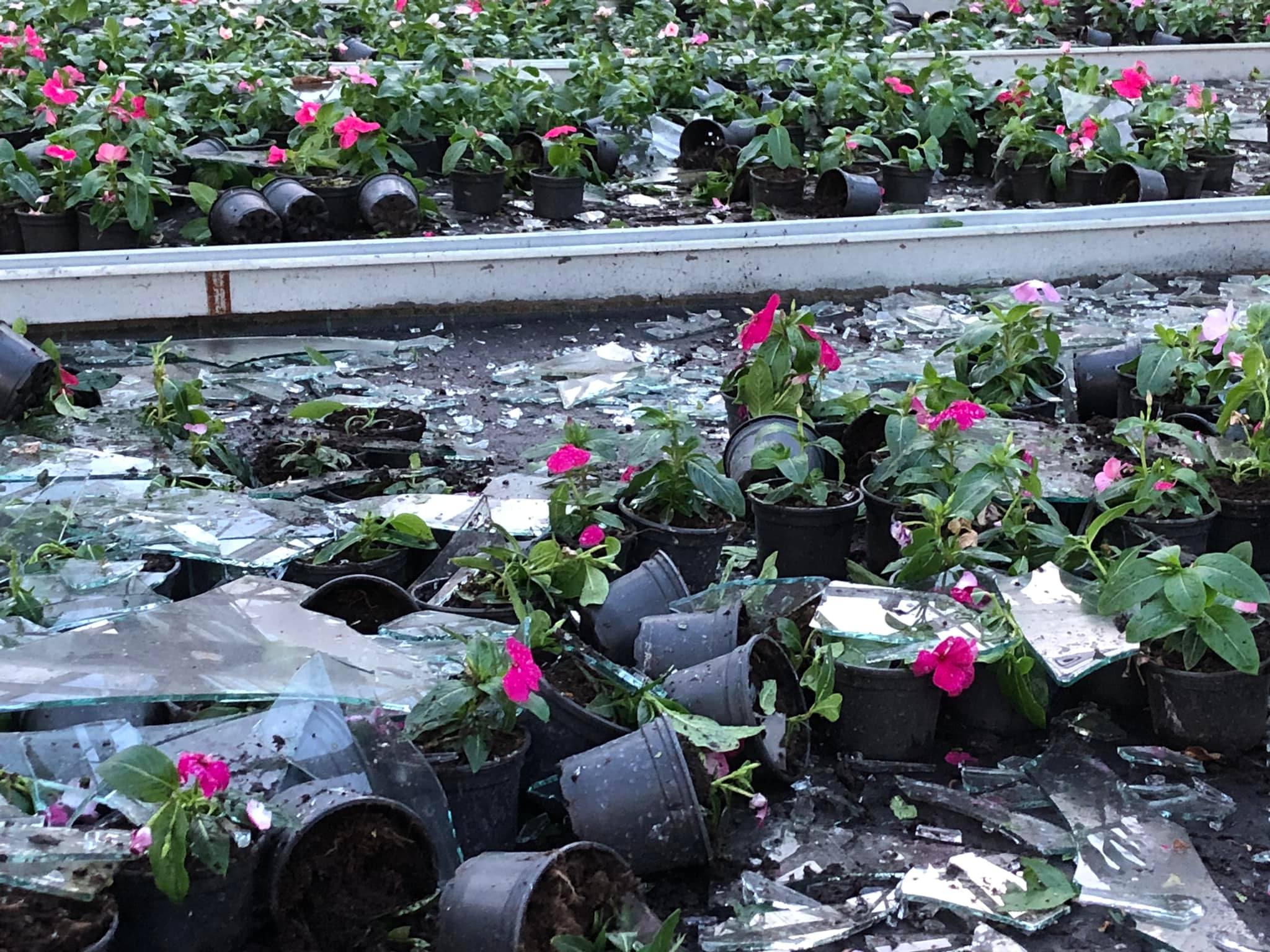 Tuča Veliki Bukovec