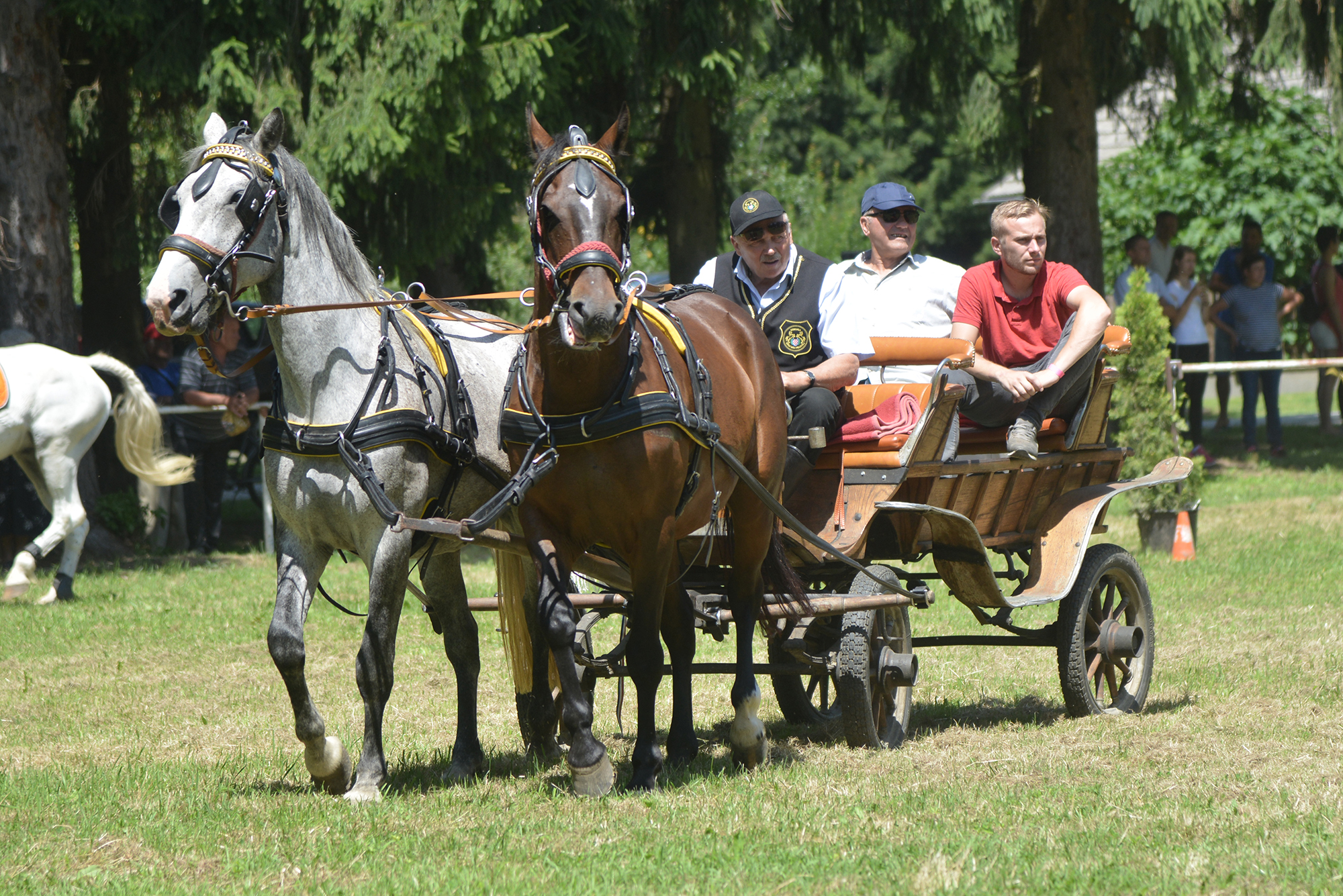 Konjičke i igre u Zelendvoru Konjičke i igre u Zelendvoru