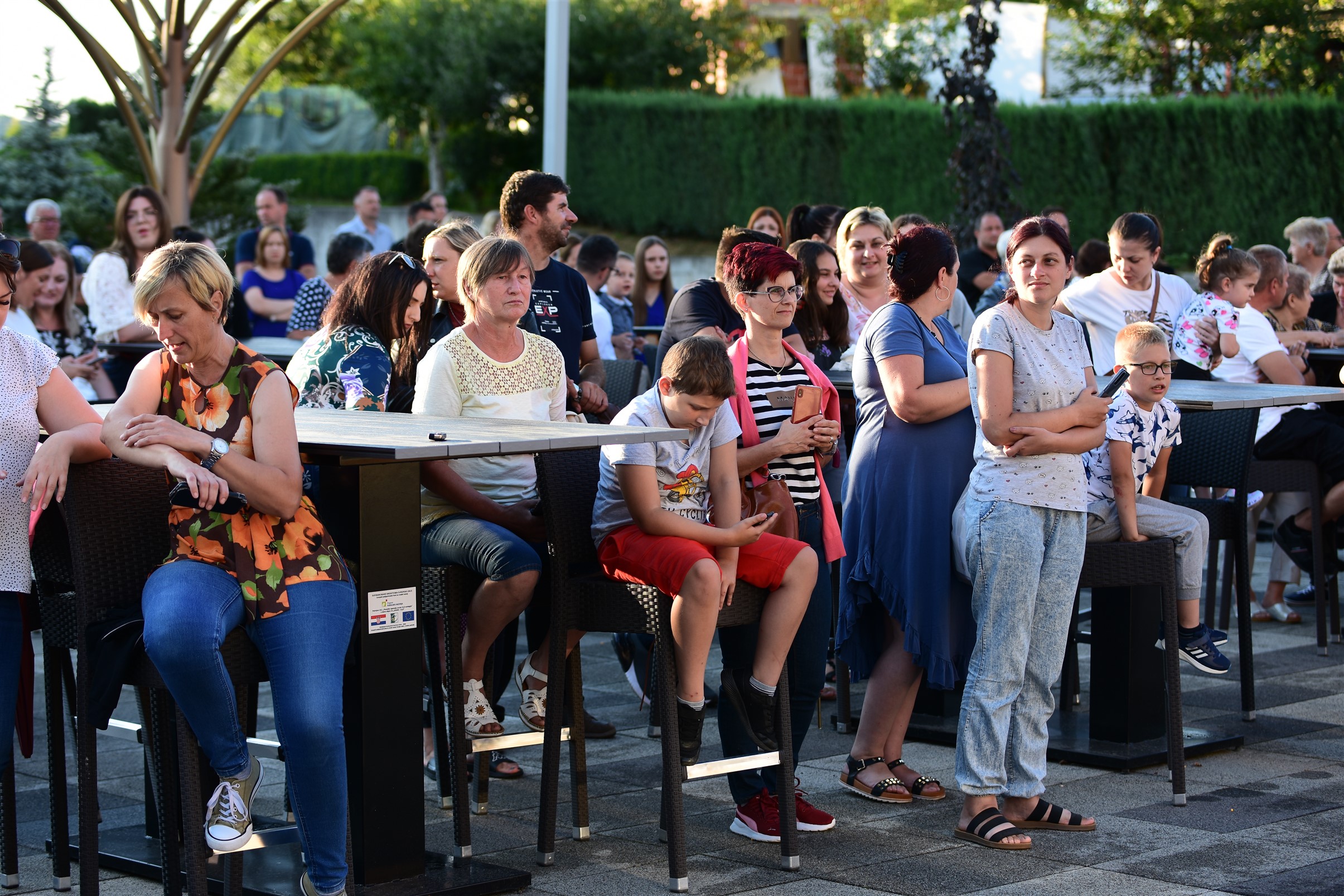 Image 5419086 (auto)