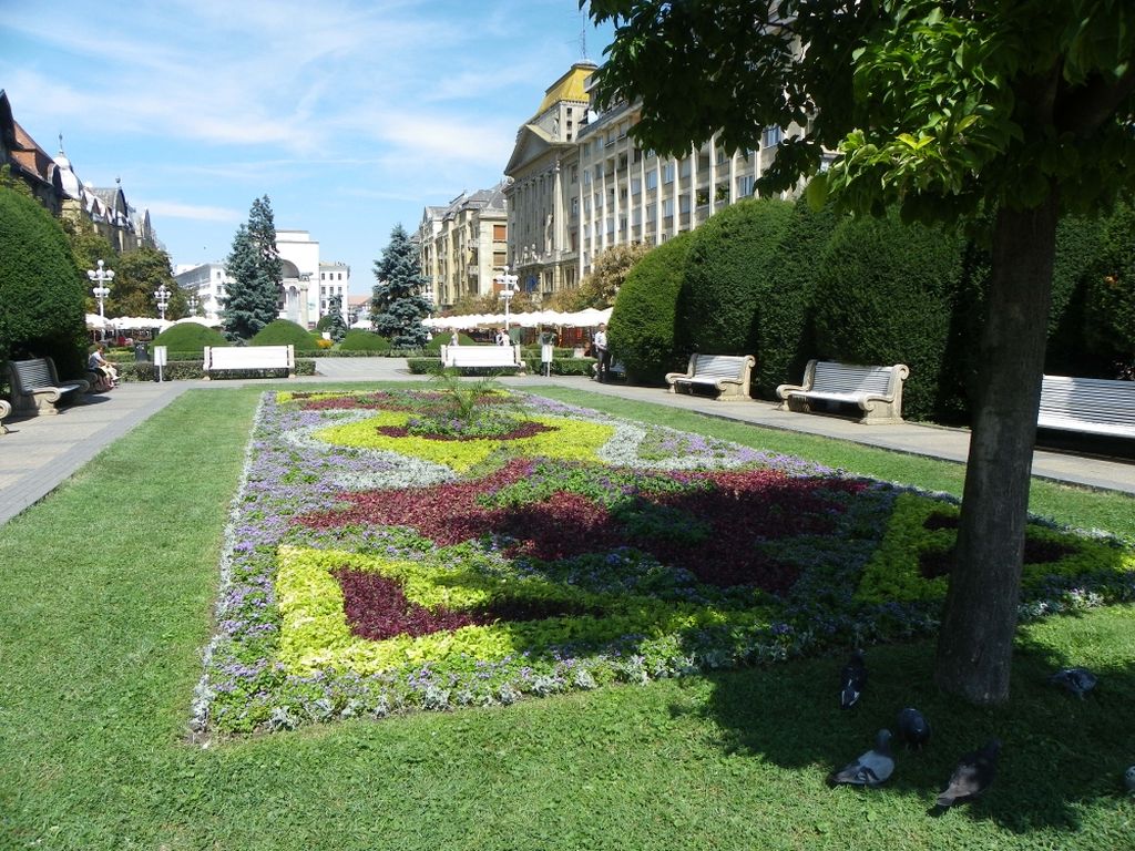 trgpobjedepremaoperi636166